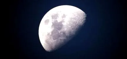 савия