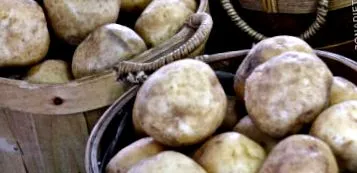 картофите