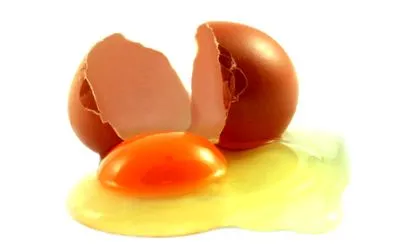 яйца