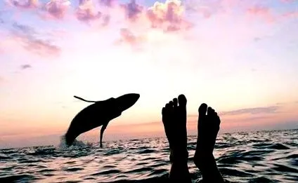 часовник
