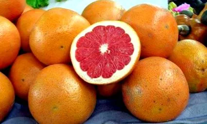 храни