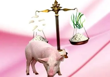 включване