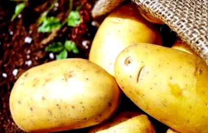 картофите
