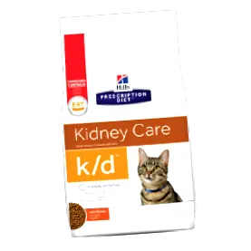 котів котів