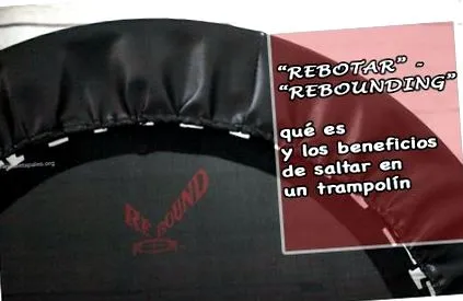 палео