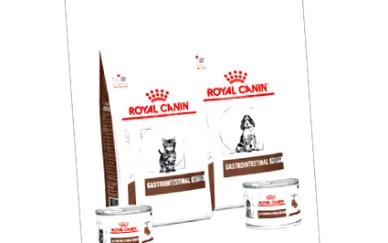 royal