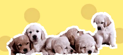 хипоалергенни