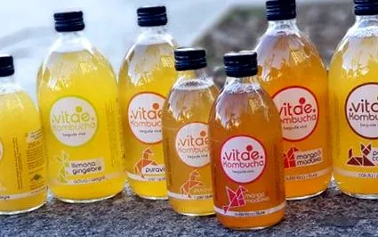 kombucha