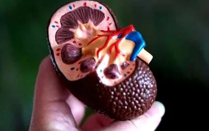 уроонкология