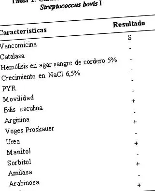 streptococcus