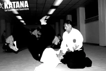 katana
