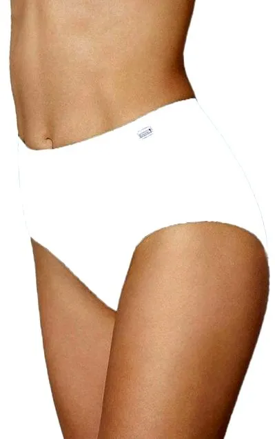 brief