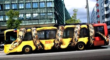 busz
