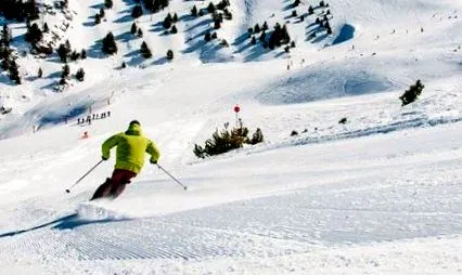 изберем
