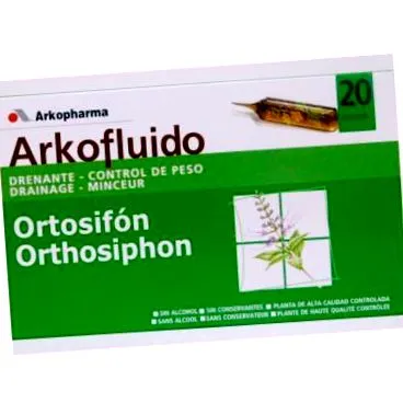 arkofliento