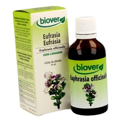 euphrasia