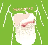 legcsendesebb