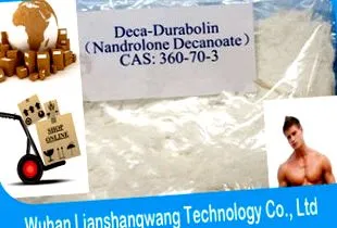 nandrolone
