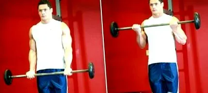 bicepsz