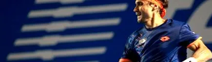 ferrer