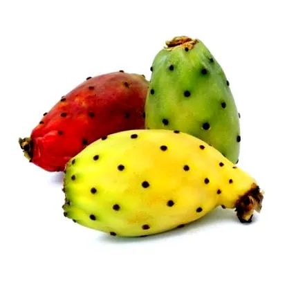 tulajdonsága