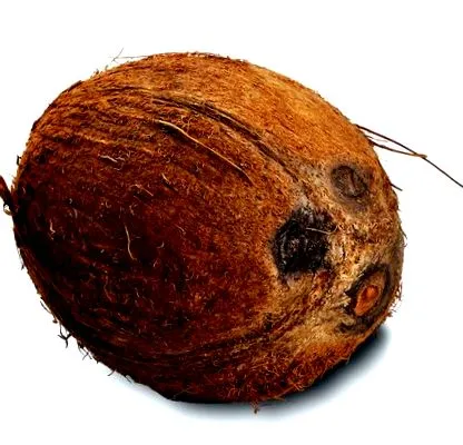 онзи