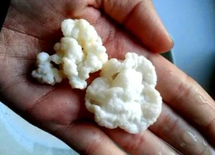 gomba