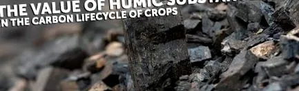 humuszanyagok