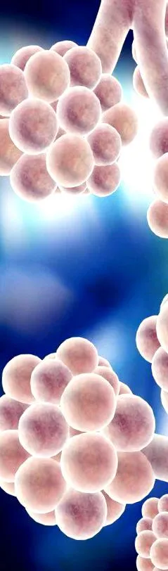 obstruktív tüdőbetegség COPD