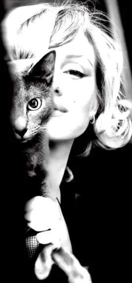 marilyn