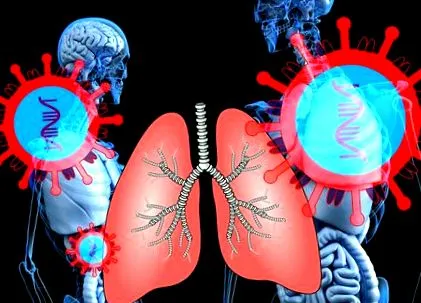 websalud