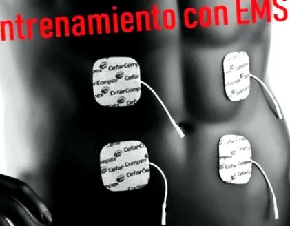 edzés
