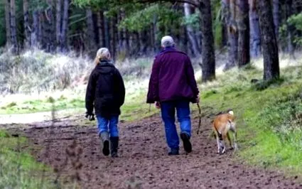 гуляти