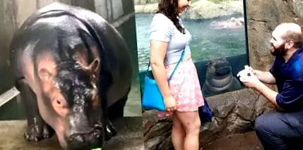 отслабва