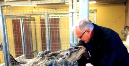 lehetővé tették