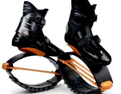 kangoo