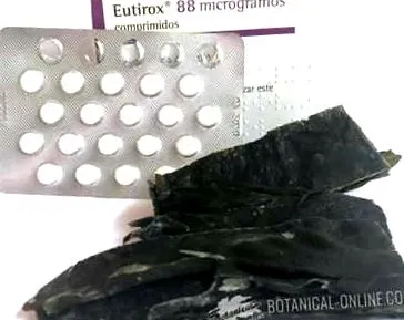 жлеза като
