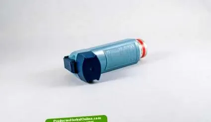 член