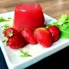 agar-agar