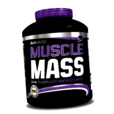 muscle