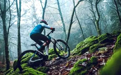 mondraker