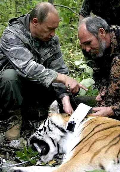 путин