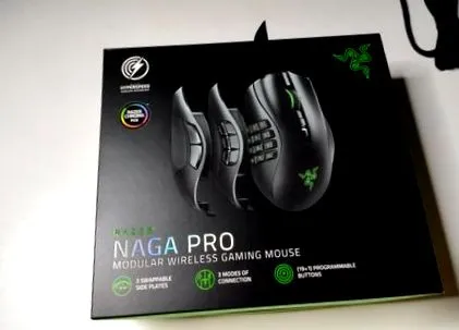 naga