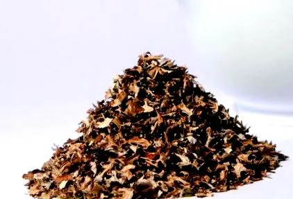 лишайника лишайника