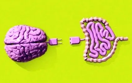 представляват