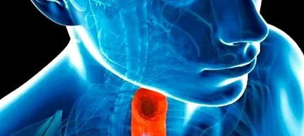 WebSalud Какво