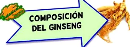 hogy ginzeng