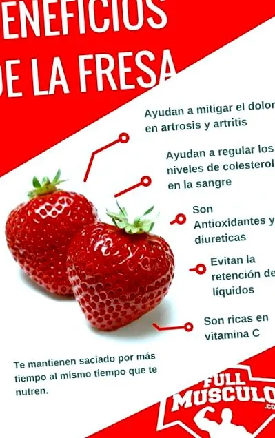 fullmusculo