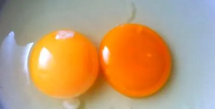 живот