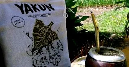 yacón